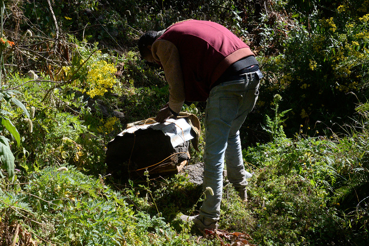 ahb_beekeeping_04