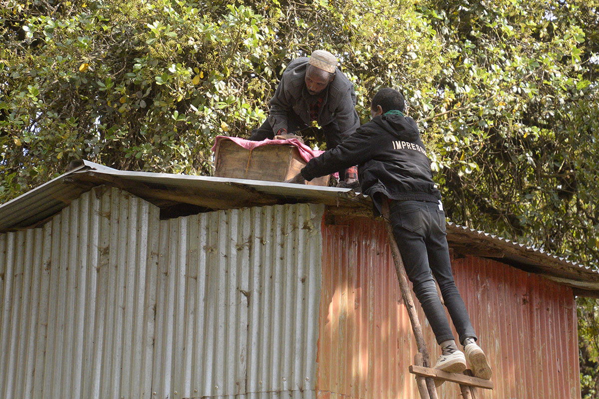 ahb_beekeeping_06